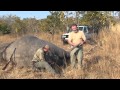 Elephant Hunt