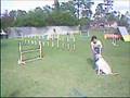 Bow Wow training fun match