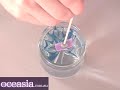 Acrylic gel nail art: water marble nail polish tutorial