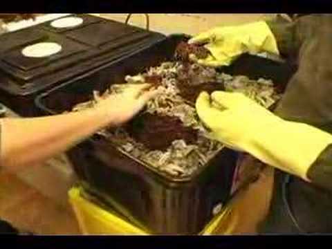 Rhodes 2 Vermicycling