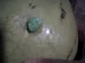FURAR UM C�CO COM CHICLETE