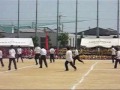 Taikusai no bideo Taikusai no bideo
