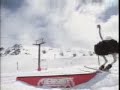Skiing Ostrich