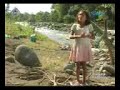 A GMA7 Documentary on Climate Change and its impact
