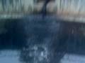 videos de Toxic Leak At Jurong Point!