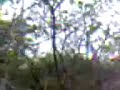 jugando en el palotal airsoft II
