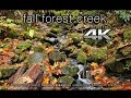 4K ULTRA HD NATURE SCENE: FALL OREGON CREEK 1 ..