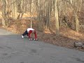 The Homemade Wheel - RossTraining.com