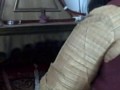 Maa\