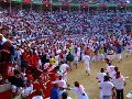 Bulls enter the ring