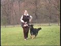 Unterordnung Dori von der Liebenburg 11 Monate alt