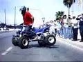 jerez 2008 valdelagrana