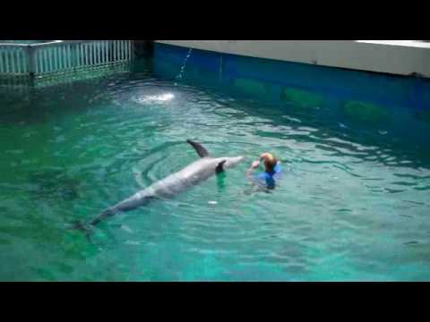 Wholphin Tank! Sea Life Park Saturday May 8, 2010