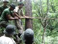 Curso de Sobrevivência - Selva !!! Curso de Sobrevivência - Selva !!!