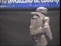 Qrio Magno Robótica