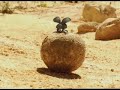 http://www.minuscule-dvd.com
imaginez la fusion entre un documentaire de national geographic et l'univers de tex avery... c'est avec avec ce d�calage inhabituel que minuscule vous plonge dans l'herbe des campagnes pour observer la vie quotidienne des insectes. un bijou d'animation dr�le et po�tique m�lant personnages en 3d et d�cors r�els. jubilatoire !
