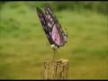 Minuscule - Bande annonce officielle