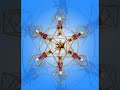 Large Buddha Maitreya Shambhala Forms
