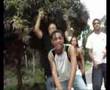 dezil- sida, hiv,aids