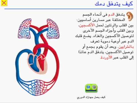 See video