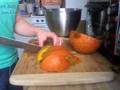Kuri Squash from Victor Farmers Market