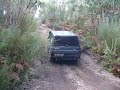 Facochero 2008