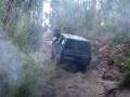 Facochero 2008