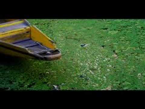 The Voice of KASHMIR - Pakistan/India