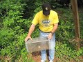 How to live trap a copperhead snake How to live trap a copperhead snake