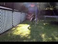 GR3g Ninja GR3g Ninja