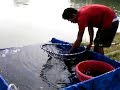 Monster Lake Ratchaburi Thailand