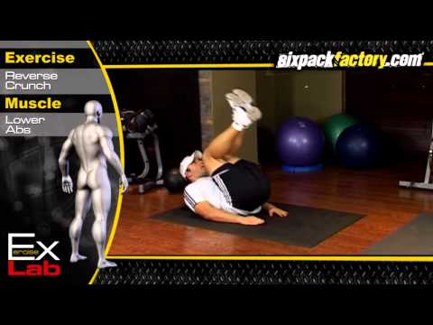 Reverse Crunch : Best Lower Ab Exercises