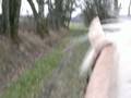 videos de Galop avec Keny