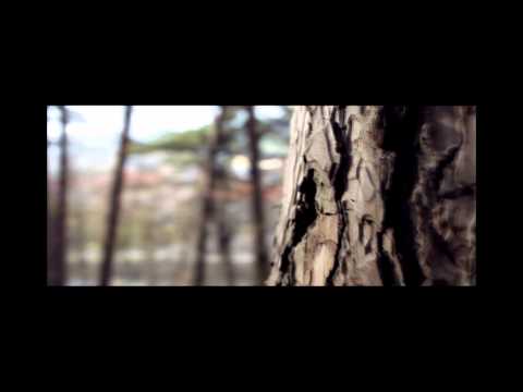 Youtube Video YmrzoNC3PSc