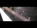 The Storm trailer