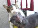 un besooooooo lola!