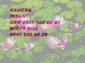 farkin mirze roj farkin mirze roj