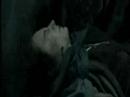 moria suite