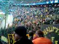 Bvb kurve