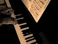 Fr�d�ric CHOPIN: Op. 28, No. 4 (Prelude)