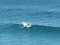 surfing-dolphins.html