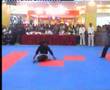 silat pulut moden