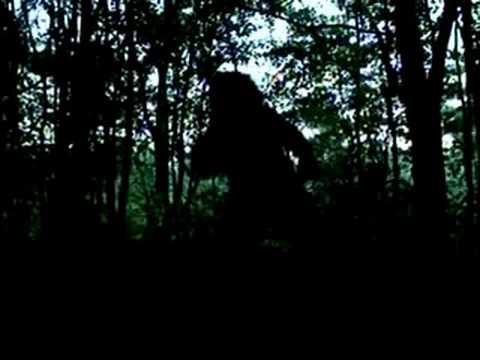 bigfoot evidence 2008