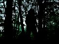 LEAKED- BIGFOOT TRACKER .COM PHOTO EVIDENCE