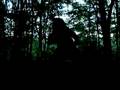 YouTube - LEAKED- BIGFOOT TRACKER .COM PHOTO EVIDENCE