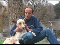 Minero un perro utilizado para caza, con el cuello degollado