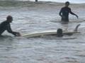 videos de Surf Adaptado Biarriz