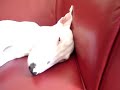 very sleepy.