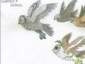 Guardians of Ga\