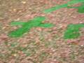 videos de Alextr!c Advertising, on lawn =]3